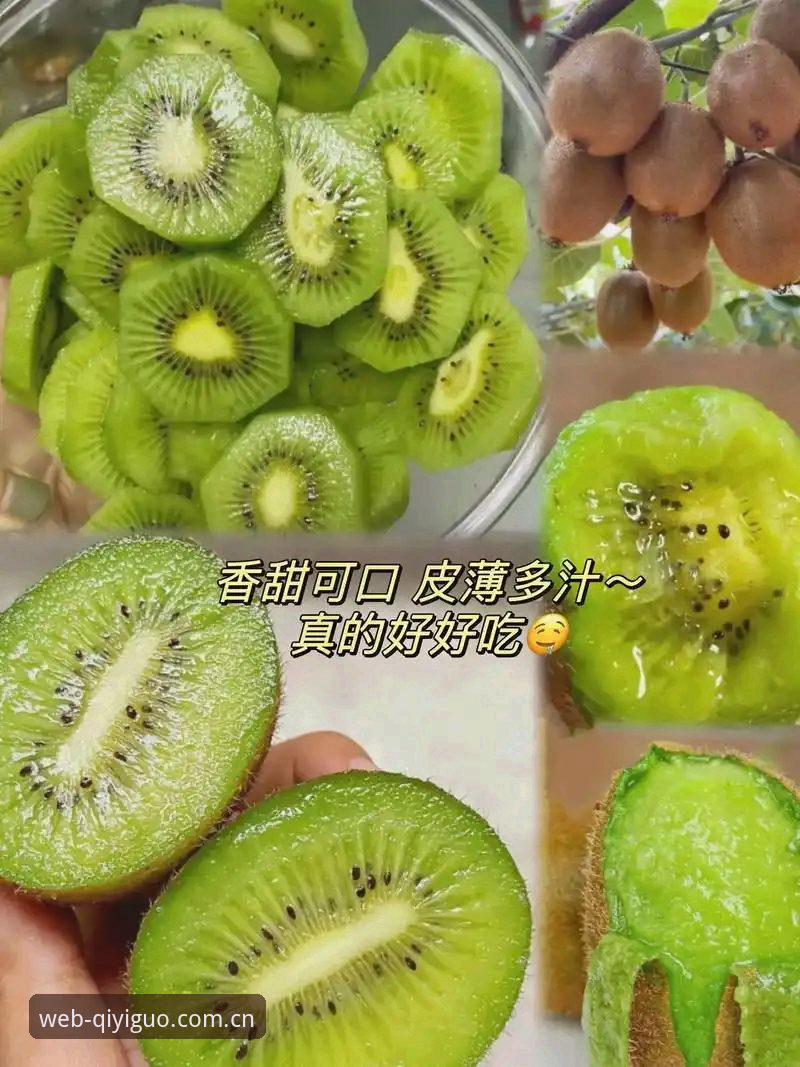 奇异果体育安卓最新版评测：新版与旧版全面对比
